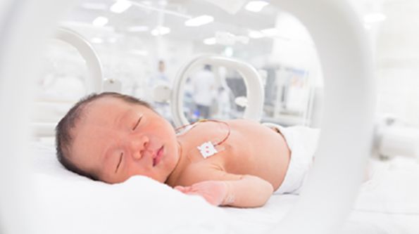 emac – incubatrici – critical care